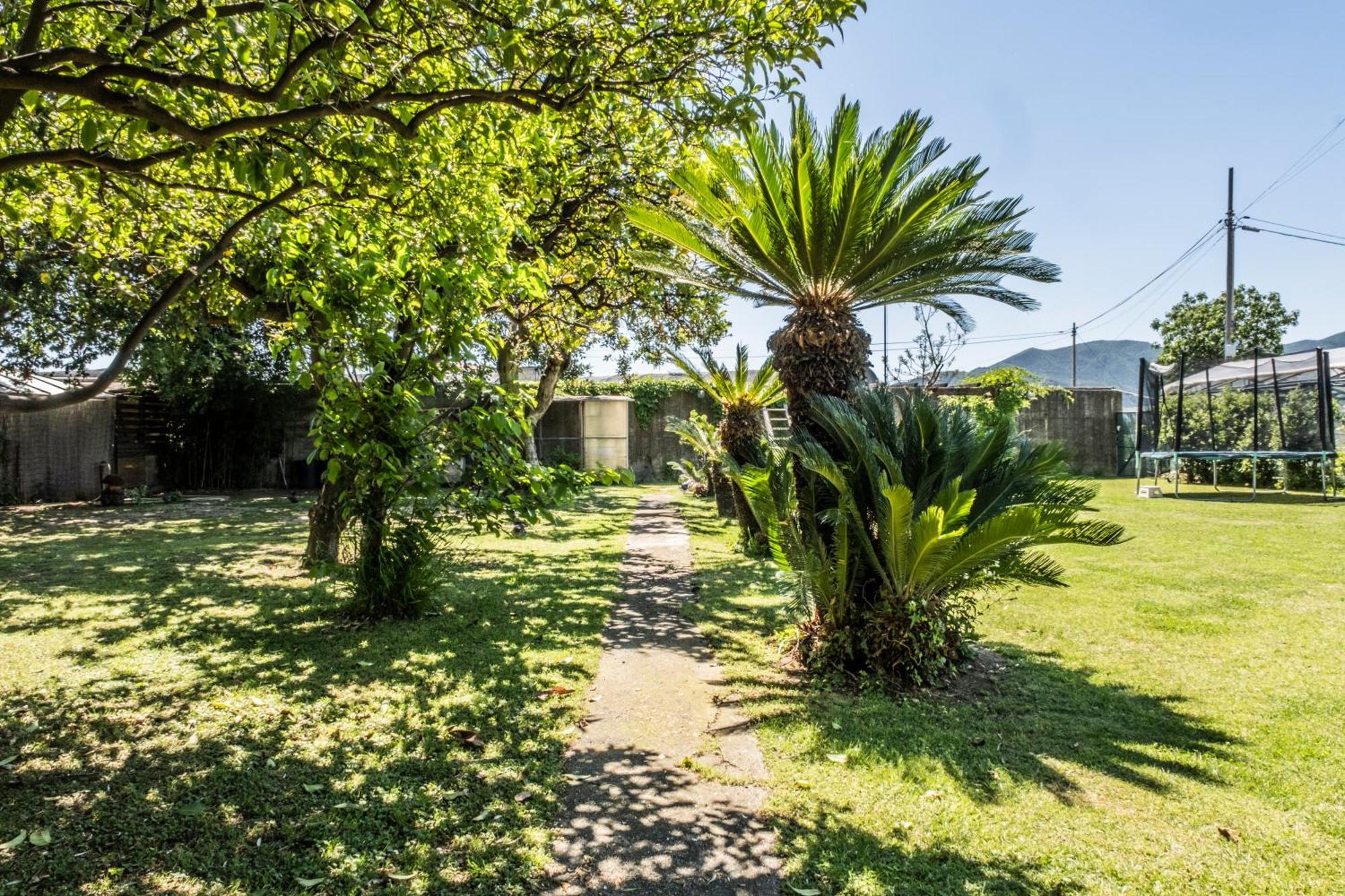 Agriturismo Giorgi Appartamenti In Riviera Ligure อัลเบงกา ภายนอก รูปภาพ
