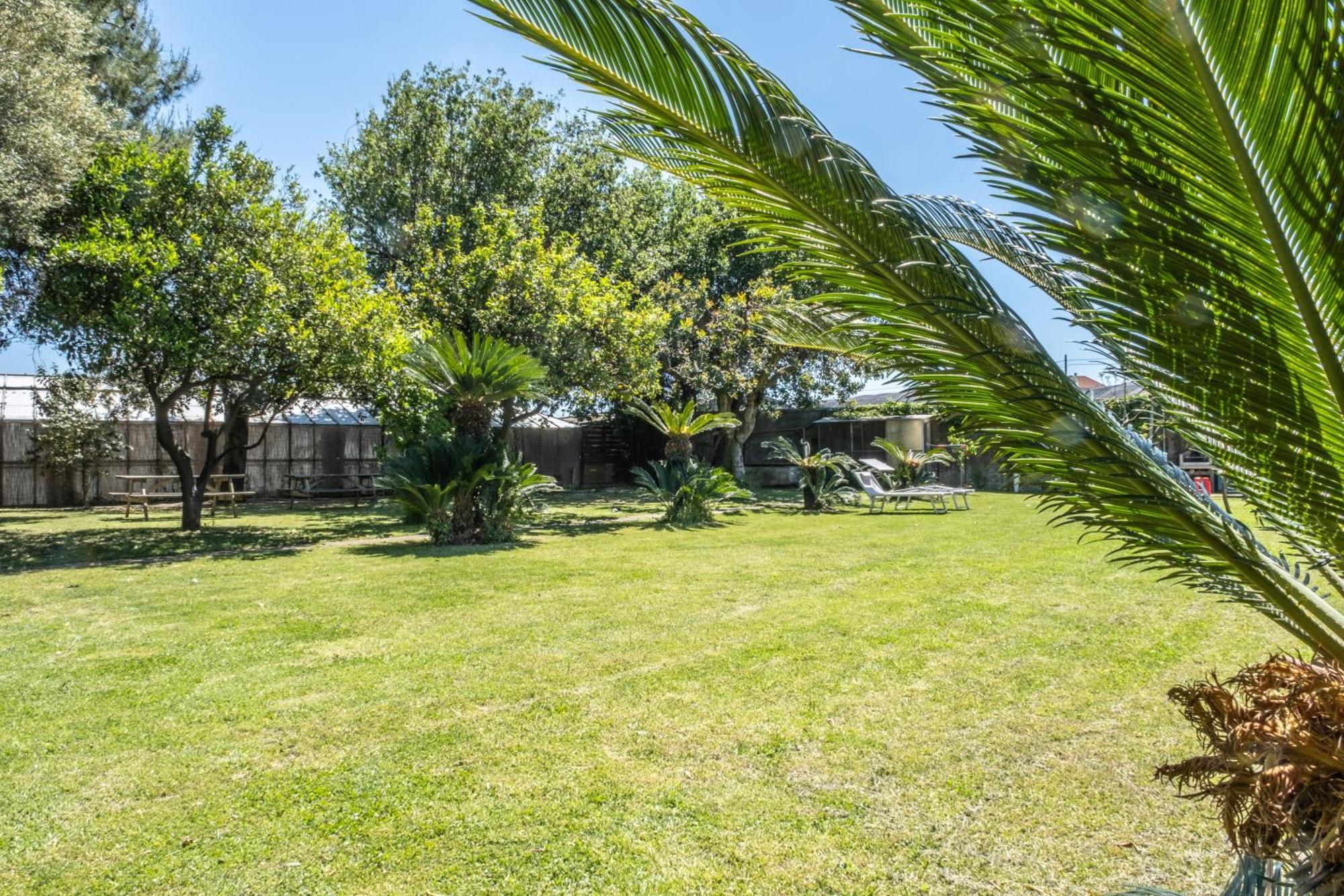 Agriturismo Giorgi Appartamenti In Riviera Ligure อัลเบงกา ภายนอก รูปภาพ